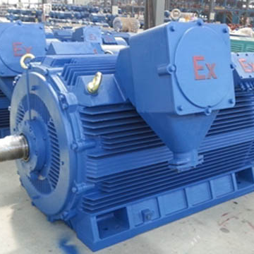 YB2-355~560 6kV和YB2-450~560 10kV 高壓隔爆型三相異步電動(dòng)機(jī)