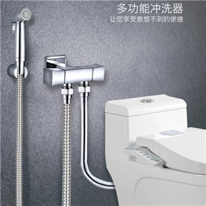 達柏林閥門 家用水控系統 多功能沖洗器